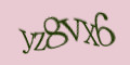 COM_SMFAQ_FORM_CAPTCHA